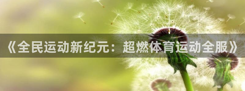 谈球吧体育官网：《全民运动新纪元：超燃体育运动全服》
