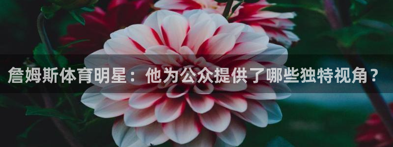 谈球吧体育官网：詹姆斯体育明星：他为公众提供了哪些独特视角？