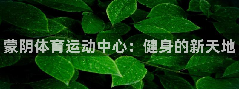 谈球吧：蒙阴体育运动中心：健身的新天地