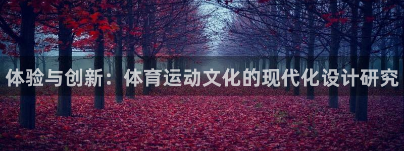 谈球吧：体验与创新：体育运动文化的现代化设计研究