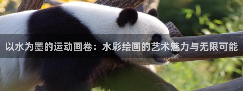 谈球吧：以水为墨的运动画卷：水彩绘画的艺术魅力与无限可能