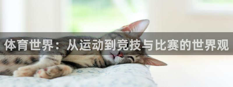 谈球吧体育官网：体育世界：从运动到竞技与比赛的世界观