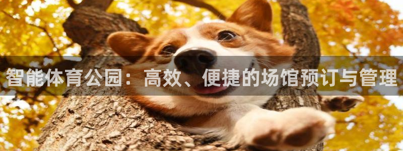 谈球吧体育官网：智能体育公园：高效、便捷的场馆预订与管理