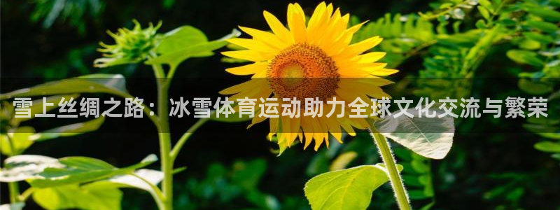 谈球吧体育官网：雪上丝绸之路：冰雪体育运动助力全球文化交流与繁荣